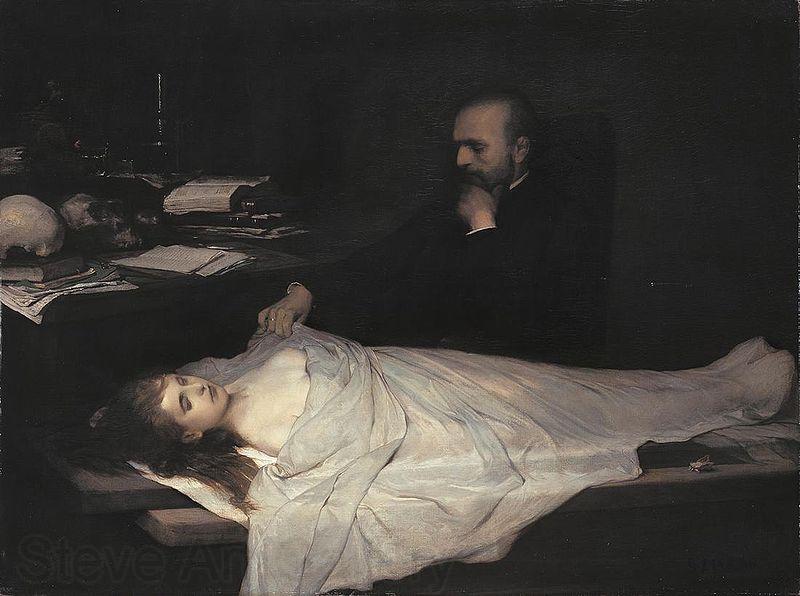 Max, Gabriel Cornelius von The Anatomist Norge oil painting art